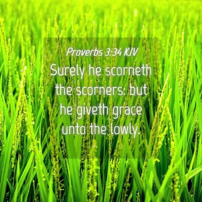 Picture 04 - Proverbs 3:34 KJV - Surely he scorneth the scorners: but he giveth - Bible Verse Picture