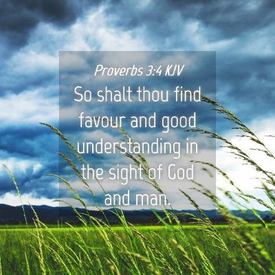 Picture 04 - Proverbs 3:4 KJV - So shalt thou find favour and good understanding - Bible Verse Picture