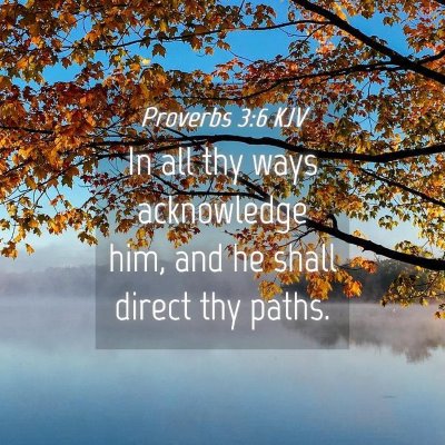 Picture 04 - Proverbs 3:6 KJV - In all thy ways acknowledge him, and he shall - Bible Verse Picture