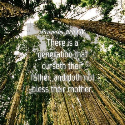 Picture 04 - Proverbs 30:11 KJV - There is a generation that curseth their father, - Bible Verse Picture