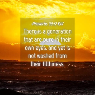 Picture 04 - Proverbs 30:12 KJV - There is a generation that are pure in their own - Bible Verse Picture