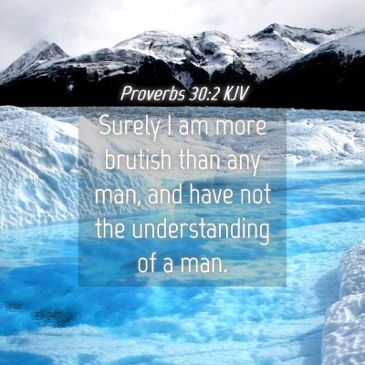 Picture 04 - Proverbs 30:2 KJV - Surely I am more brutish than any man, and have - Bible Verse Picture