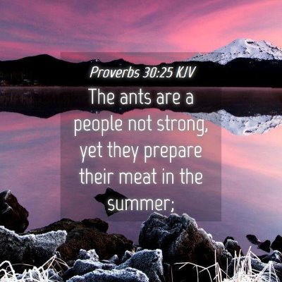 Picture 04 - Proverbs 30:25 KJV - The ants are a people not strong, yet they - Bible Verse Picture