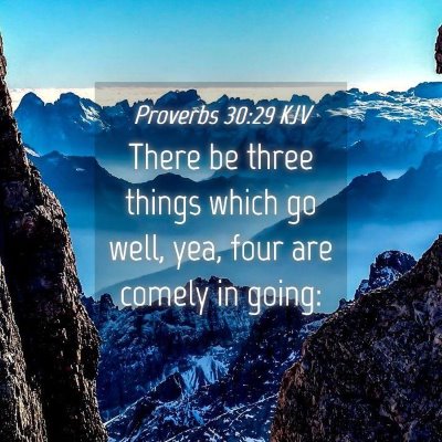 Picture 04 - Proverbs 30:29 KJV - There be three things which go well, yea, four - Bible Verse Picture