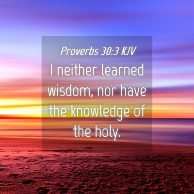 Picture 04 - Proverbs 30:3 KJV - I neither learned wisdom, nor have the knowledge - Bible Verse Picture