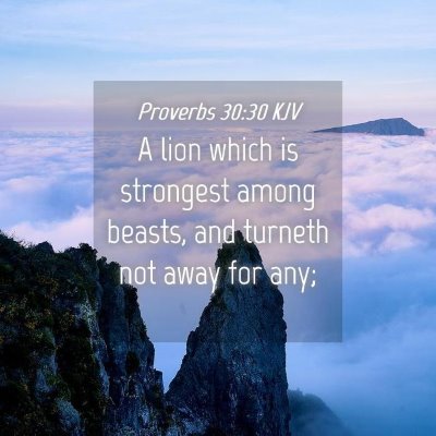 Picture 04 - Proverbs 30:30 KJV - A lion which is strongest among beasts, and - Bible Verse Picture