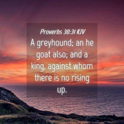 Picture 04 - Proverbs 30:31 KJV - A greyhound; an he goat also; and a king, against - Bible Verse Picture