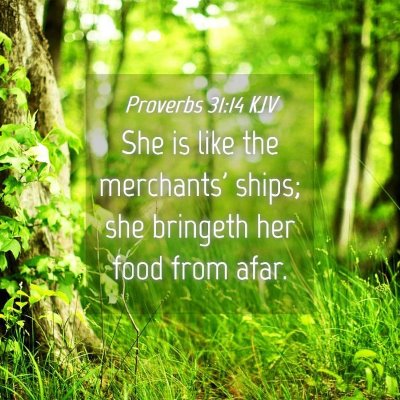 Picture 04 - Proverbs 31:14 KJV - She is like the merchants' ships; she bringeth - Bible Verse Picture