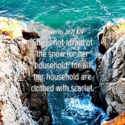 Picture 04 - Proverbs 31:21 KJV - She is not afraid of the snow for her household: - Bible Verse Picture
