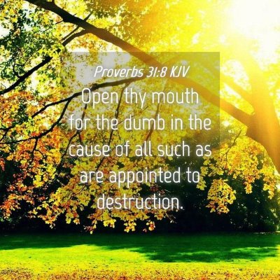 Picture 04 - Proverbs 31:8 KJV - Open thy mouth for the dumb in the cause of all - Bible Verse Picture