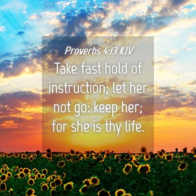 Picture 04 - Proverbs 4:13 KJV - Take fast hold of instruction; let her not go: - Bible Verse Picture