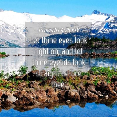 Picture 04 - Proverbs 4:25 KJV - Let thine eyes look right on, and let thine - Bible Verse Picture