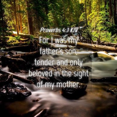 Picture 04 - Proverbs 4:3 KJV - For I was my father's son, tender and only - Bible Verse Picture