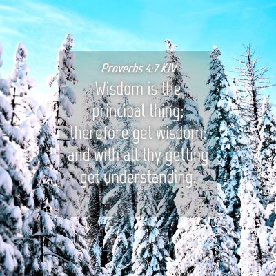 Picture 04 - Proverbs 4:7 KJV - Wisdom is the principal thing; therefore get - Bible Verse Picture
