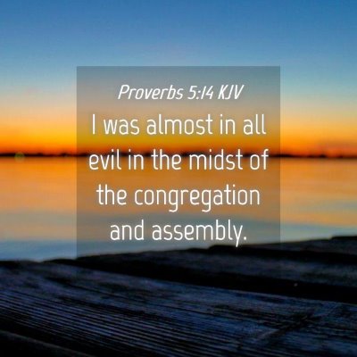 Picture 04 - Proverbs 5:14 KJV - I was almost in all evil in the midst of the - Bible Verse Picture
