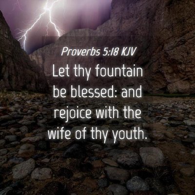 Picture 04 - Proverbs 5:18 KJV - Let thy fountain be blessed: and rejoice with the - Bible Verse Picture