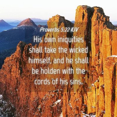 Picture 04 - Proverbs 5:22 KJV - His own iniquities shall take the wicked himself, - Bible Verse Picture