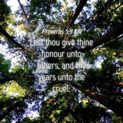 Picture 04 - Proverbs 5:9 KJV - Lest thou give thine honour unto others, and thy - Bible Verse Picture