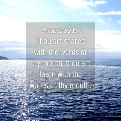 Picture 04 - Proverbs 6:2 KJV - Thou art snared with the words of thy mouth, thou - Bible Verse Picture