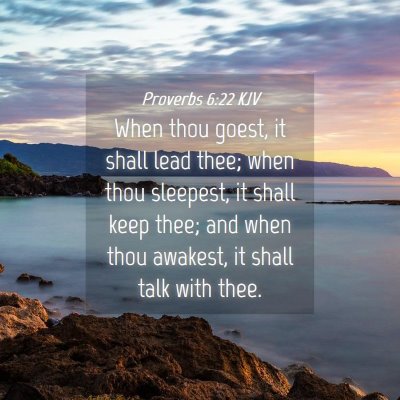 Picture 04 - Proverbs 6:22 KJV - When thou goest, it shall lead thee; when thou - Bible Verse Picture