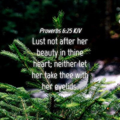 Picture 04 - Proverbs 6:25 KJV - Lust not after her beauty in thine heart; neither - Bible Verse Picture