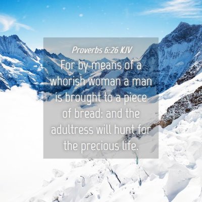 Picture 04 - Proverbs 6:26 KJV - For by means of a whorish woman a man is brought - Bible Verse Picture