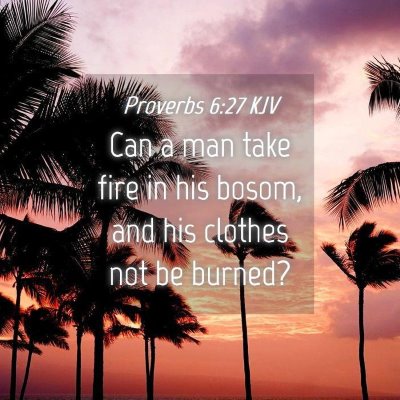 Picture 04 - Proverbs 6:27 KJV - Can a man take fire in his bosom, and his clothes - Bible Verse Picture