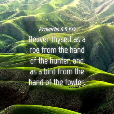 Picture 04 - Proverbs 6:5 KJV - Deliver thyself as a roe from the hand of the - Bible Verse Picture