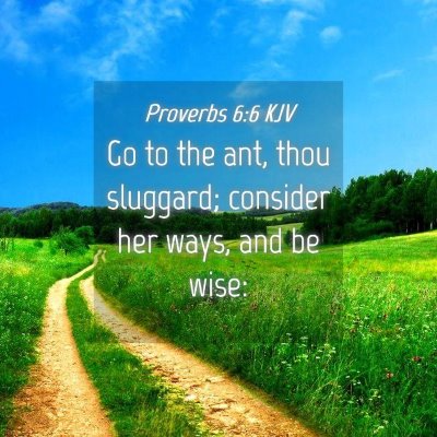 Picture 04 - Proverbs 6:6 KJV - Go to the ant, thou sluggard; consider her ways, - Bible Verse Picture