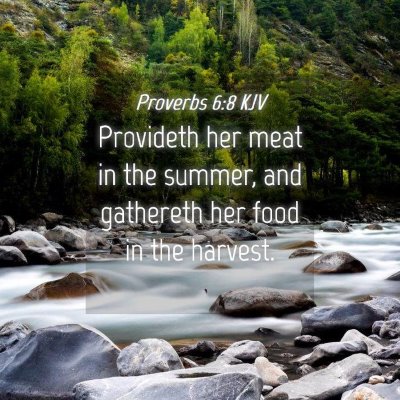 Picture 04 - Proverbs 6:8 KJV - Provideth her meat in the summer, and gathereth - Bible Verse Picture