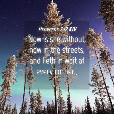 Picture 04 - Proverbs 7:12 KJV - Now is she without, now in the streets, and lieth - Bible Verse Picture