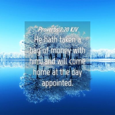 Picture 04 - Proverbs 7:20 KJV - He hath taken a bag of money with him, and will - Bible Verse Picture