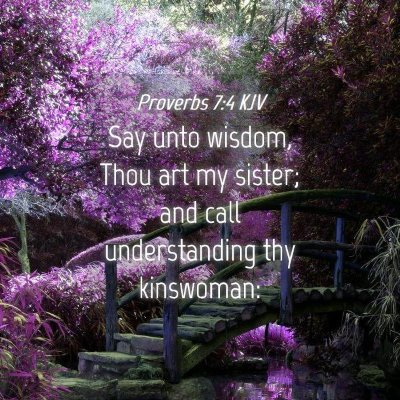 Picture 04 - Proverbs 7:4 KJV - Say unto wisdom, Thou art my sister; and call - Bible Verse Picture