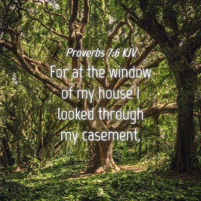 Picture 04 - Proverbs 7:6 KJV - For at the window of my house I looked through my - Bible Verse Picture