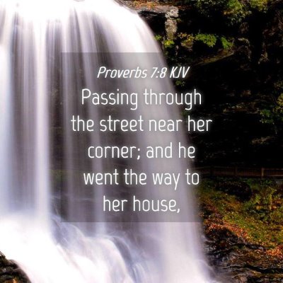 Picture 04 - Proverbs 7:8 KJV - Passing through the street near her corner; and - Bible Verse Picture