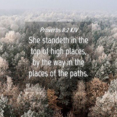 Picture 04 - Proverbs 8:2 KJV - She standeth in the top of high places, by the - Bible Verse Picture