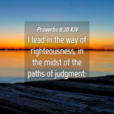 Picture 04 - Proverbs 8:20 KJV - I lead in the way of righteousness, in the midst - Bible Verse Picture