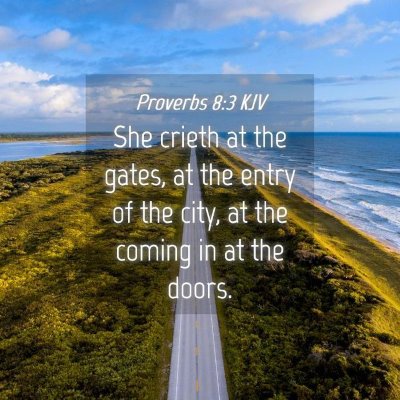 Picture 04 - Proverbs 8:3 KJV - She crieth at the gates, at the entry of the - Bible Verse Picture