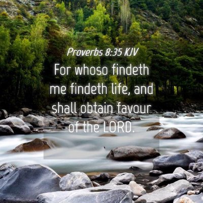 Picture 04 - Proverbs 8:35 KJV - For whoso findeth me findeth life, and shall - Bible Verse Picture