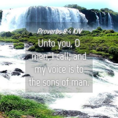 Picture 04 - Proverbs 8:4 KJV - Unto you, O men, I call; and my voice is to the - Bible Verse Picture