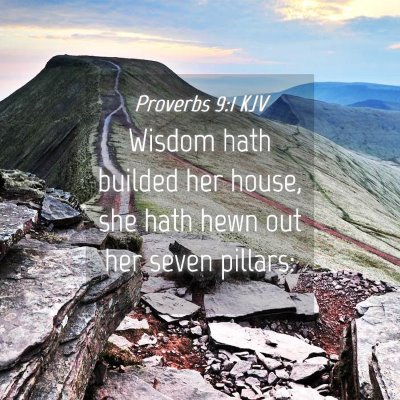 Picture 04 - Proverbs 9:1 KJV - Wisdom hath builded her house, she hath hewn out - Bible Verse Picture
