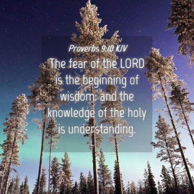 Picture 04 - Proverbs 9:10 KJV - The fear of the LORD is the beginning of wisdom: - Bible Verse Picture