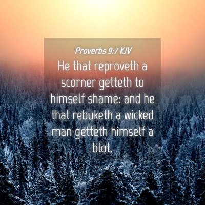 Picture 04 - Proverbs 9:7 KJV - He that reproveth a scorner getteth to himself - Bible Verse Picture
