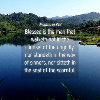 Picture 04 - Psalms 1:1 KJV - Blessed is the man that walketh not in the - Bible Verse Picture