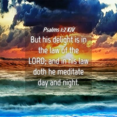 Picture 04 - Psalms 1:2 KJV - But his delight is in the law of the LORD; and in - Bible Verse Picture