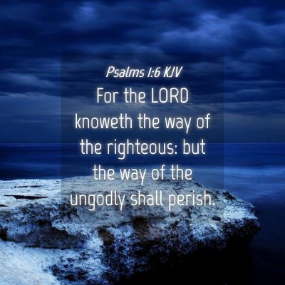 Picture 04 - Psalms 1:6 KJV - For the LORD knoweth the way of the righteous: - Bible Verse Picture