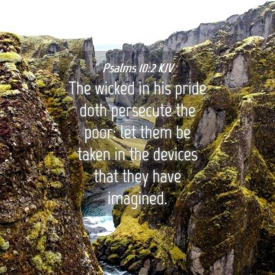 Picture 04 - Psalms 10:2 KJV - The wicked in his pride doth persecute the poor: - Bible Verse Picture