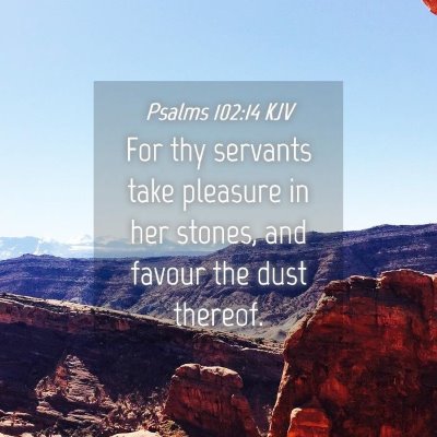 Picture 04 - Psalms 102:14 KJV - For thy servants take pleasure in her stones, and - Bible Verse Picture