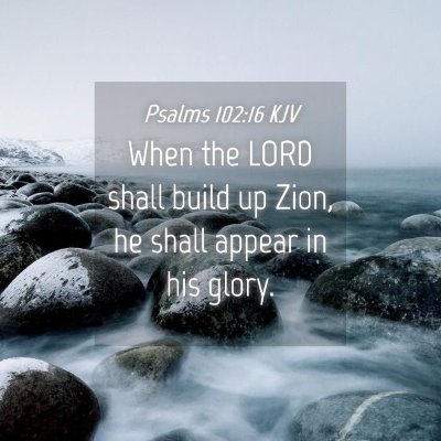 Picture 04 - Psalms 102:16 KJV - When the LORD shall build up Zion, he shall - Bible Verse Picture