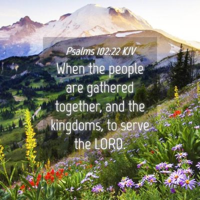 Picture 04 - Psalms 102:22 KJV - When the people are gathered together, and the - Bible Verse Picture